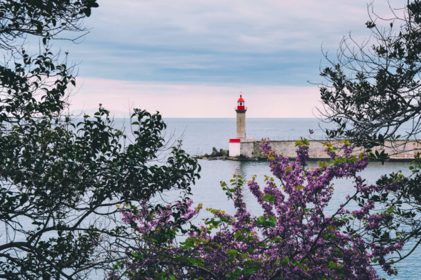 Elba-Korsika
